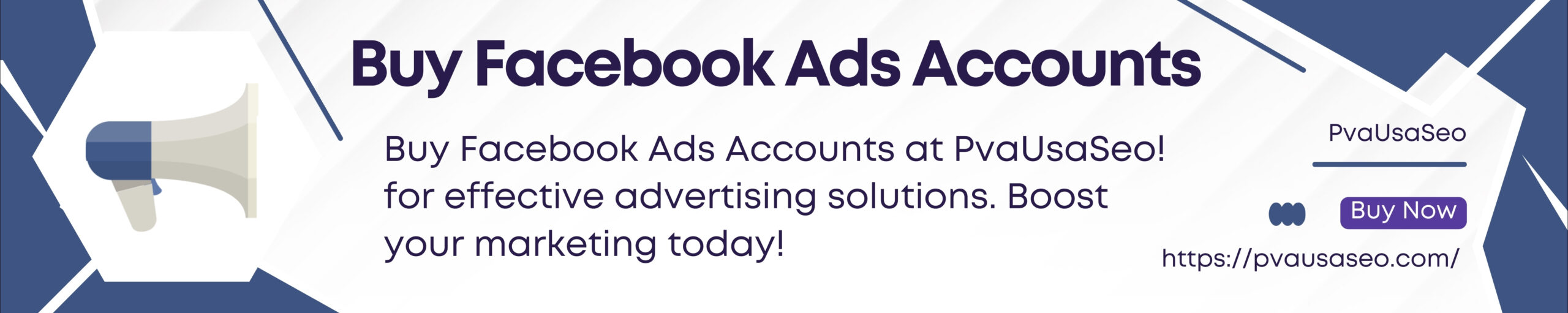 Buy Facebook Ads Accounts From PvaUsaSeo.com